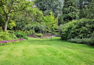 Optimiser l'expérience du jardin à Saint-Evroult-de-Montfort